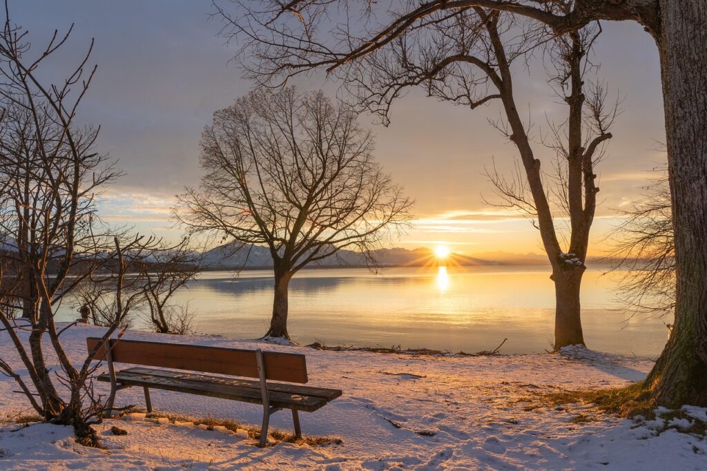 chiemsee lake, lake, sunset, winter, cold, banks, branches, trees, dusk, nature, landscape